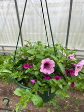 Elli's Flowers "Violet Riot"