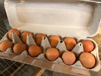 Pasture Raised Eggs