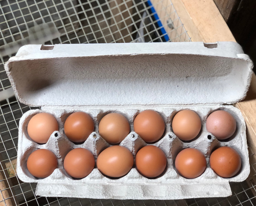 Pullet (Small) Eggs