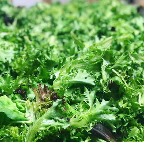 4 lb wholesale lettuce mix